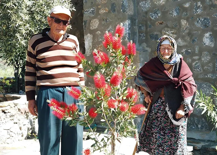 דירה Eleia - Olive Garden & Stone House